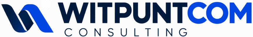 Witpuntcom Consulting logo